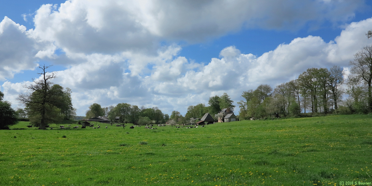Grémonville (Prairie, Ferme 1)