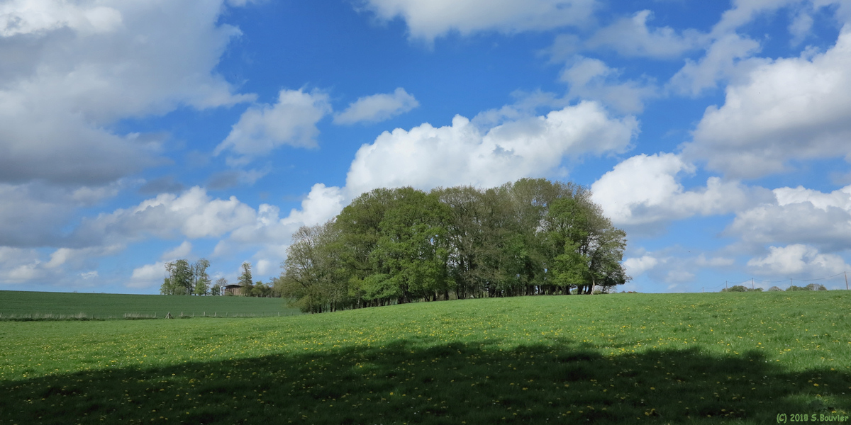 Grémonville (Prairie, Bosquet)
