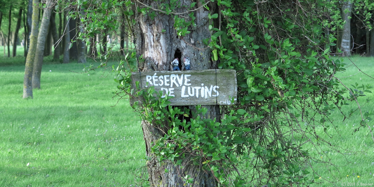 Berville en Caux (Réserve de Lutins)
