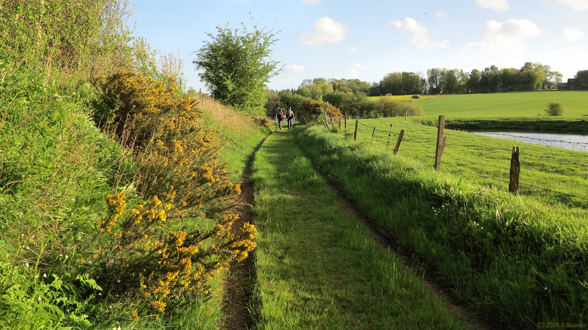 Ouville l'Abbaye (Chemin)