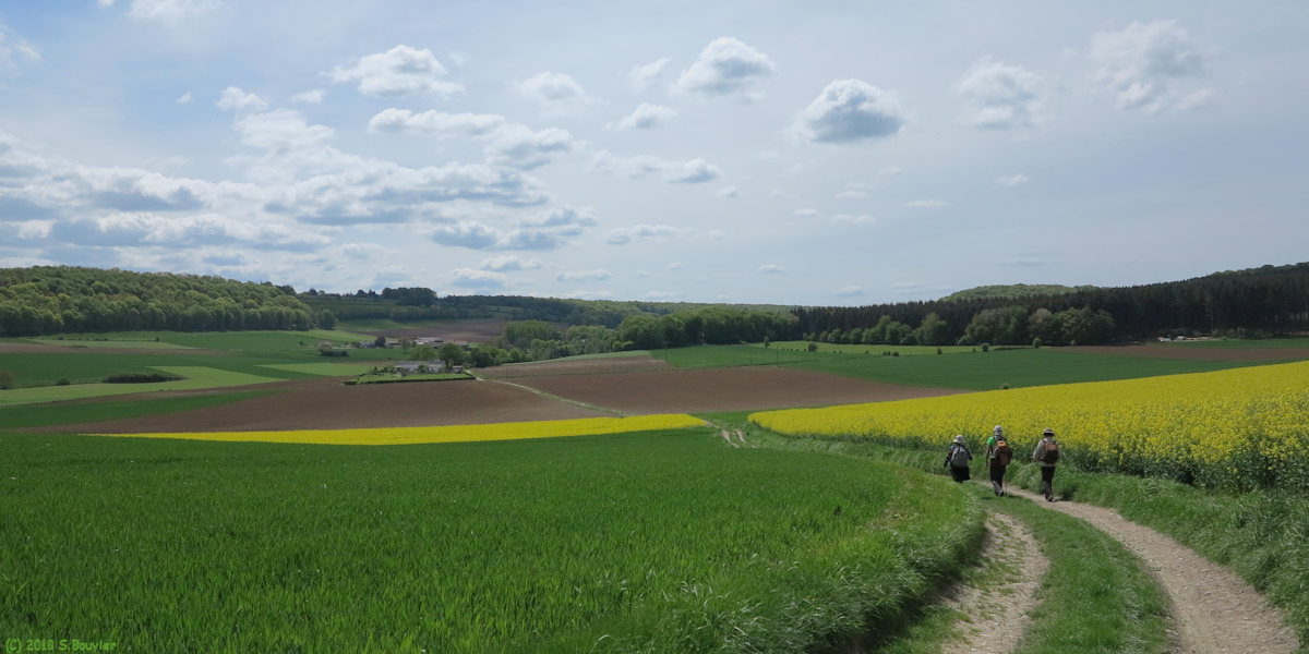 Vieux Rouen sur Bresle (Chemin)