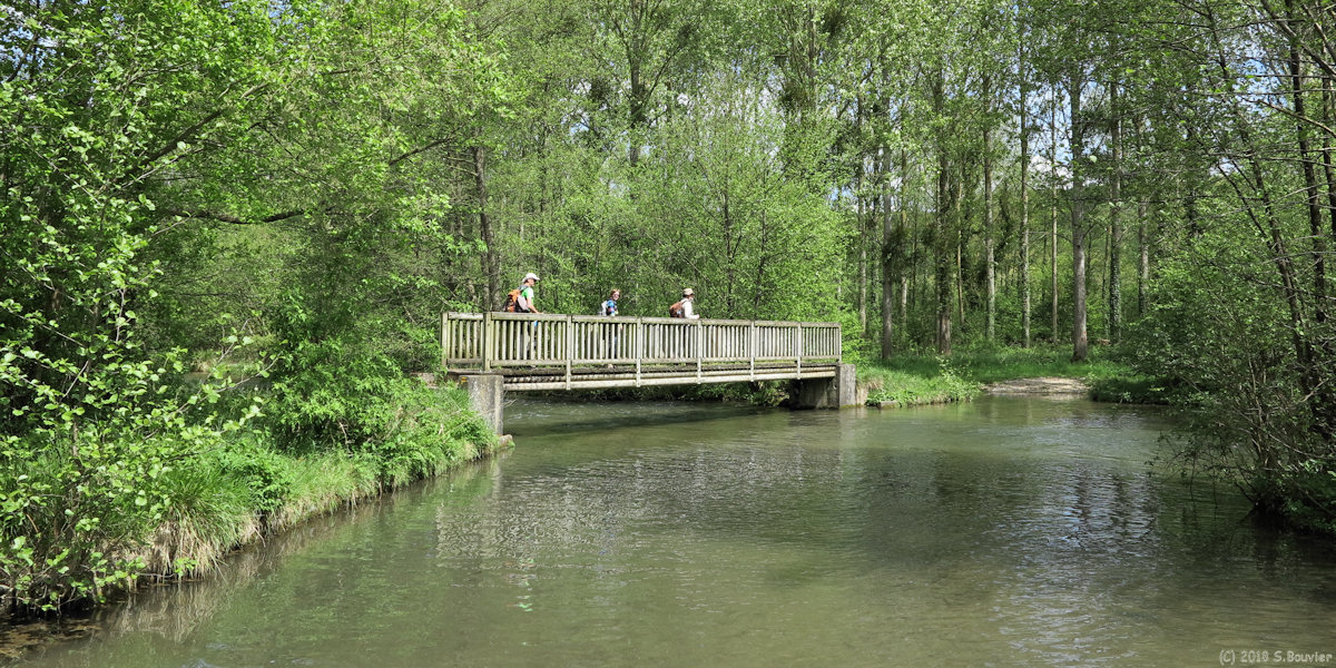 Vieux Rouen sur Besle (Passerelle 1)