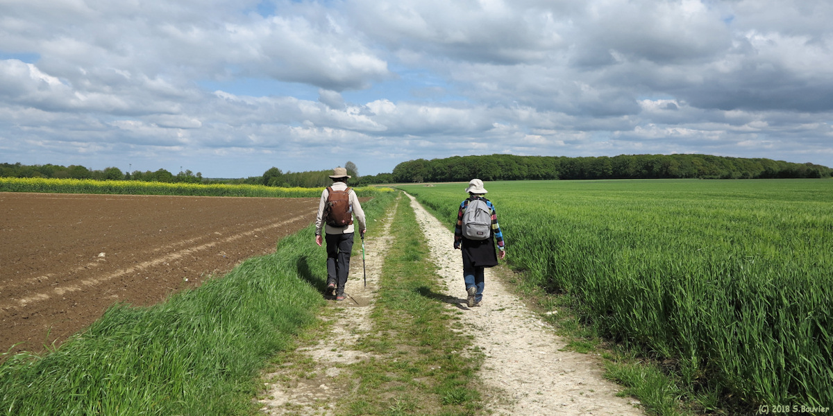 Neuville Coppegueule (Chemin)