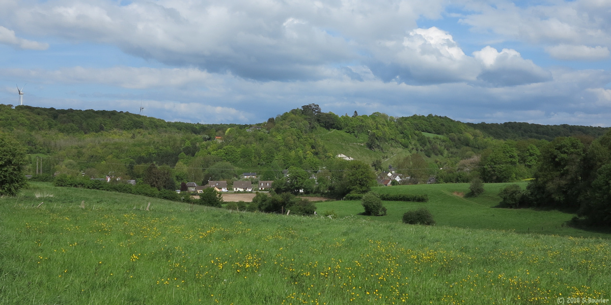 Le Quesne (Mont Arguel)