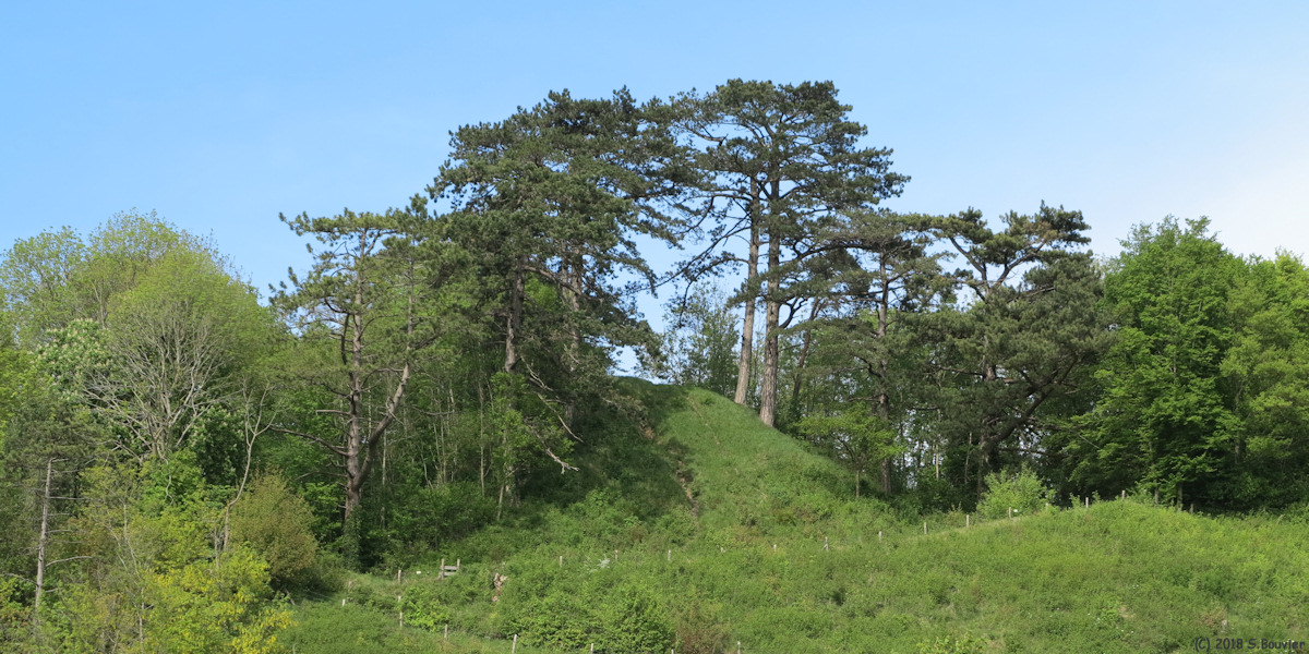 Arguel (Mont)