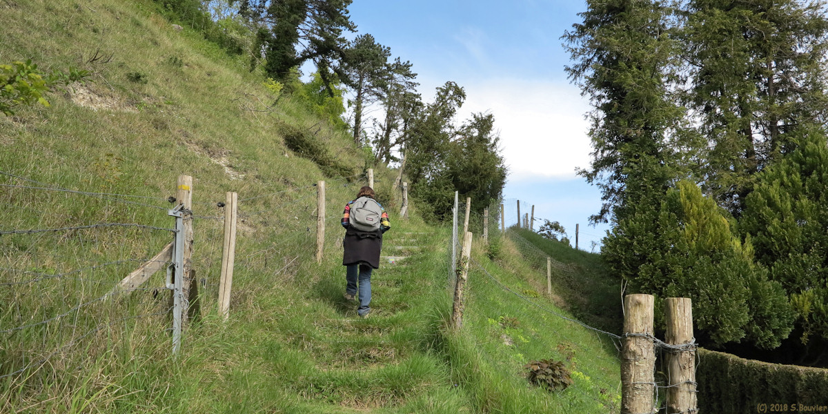 Le Quesne (Sentier)