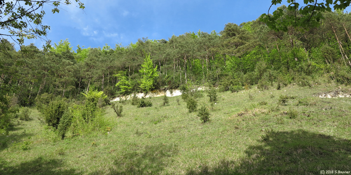 Le Mazis (Larris)