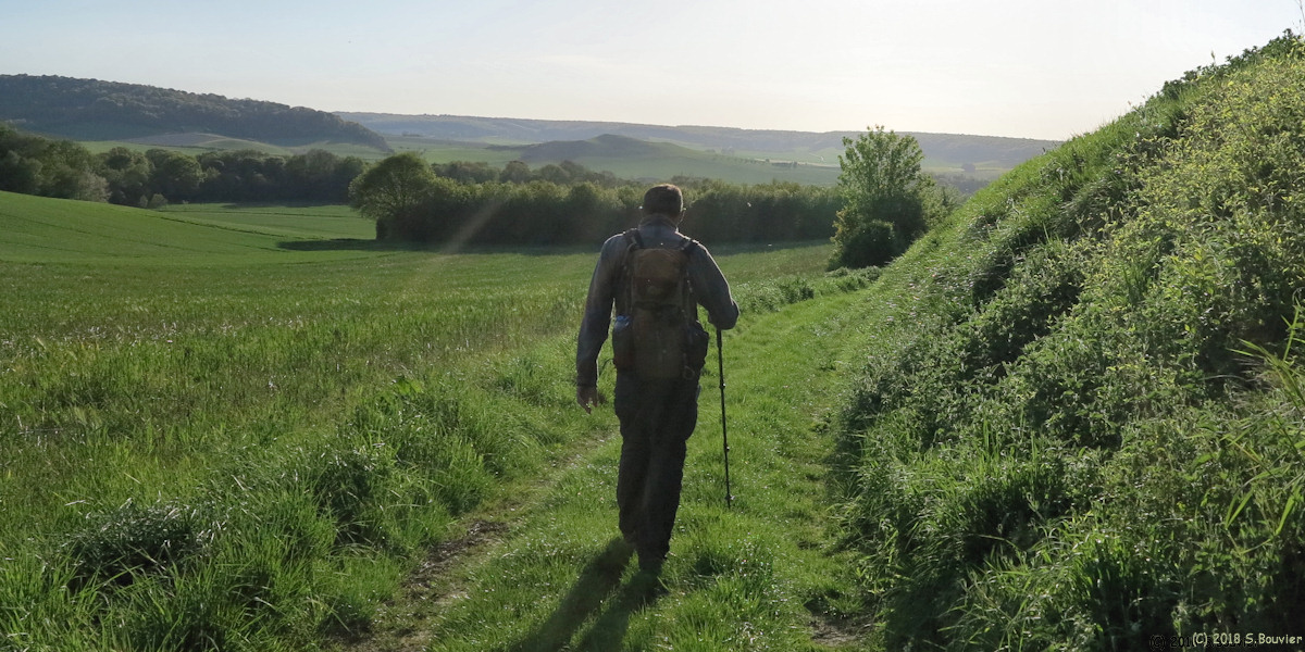 Sénarpont (Chemin)