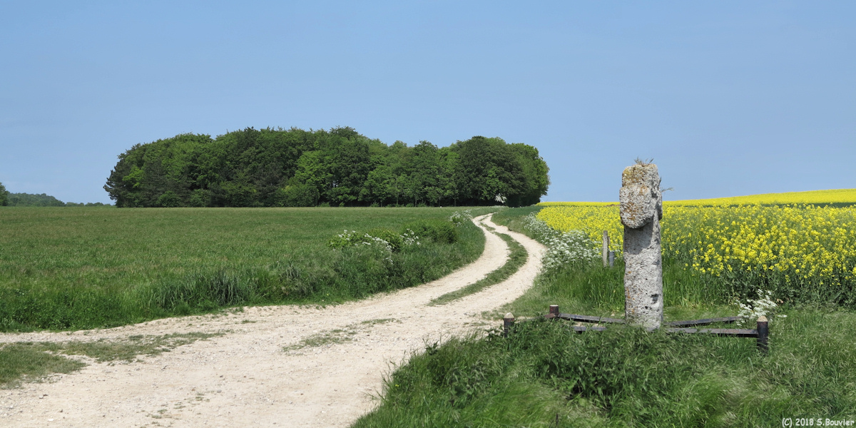 Fontaine sur Somme (Croix de Pierre)