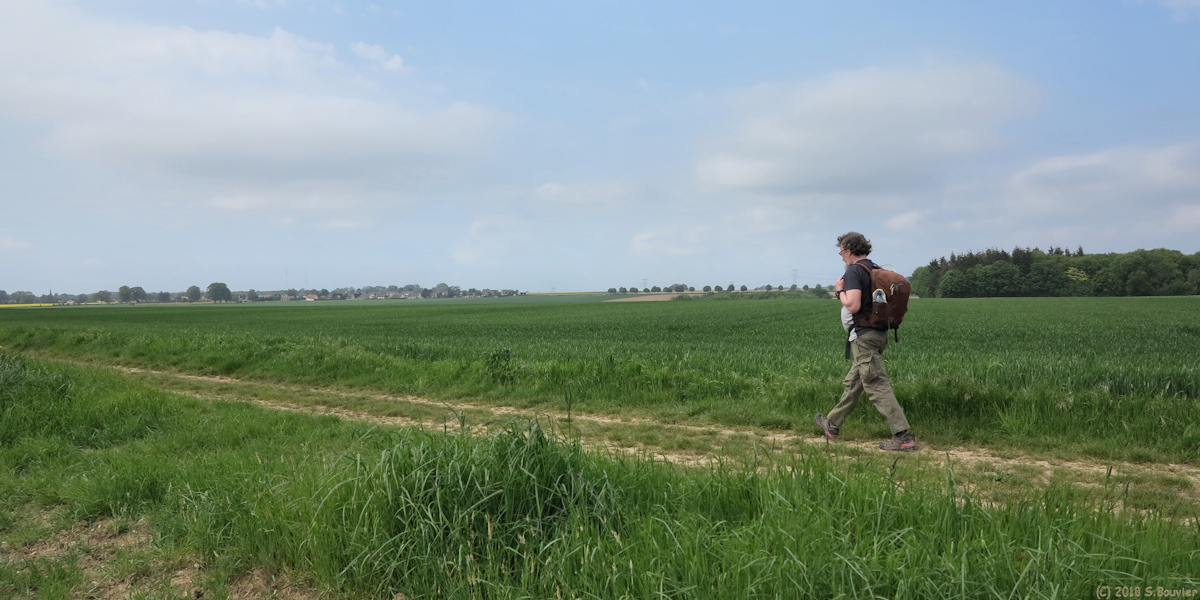 Hallencourt (Chemin)