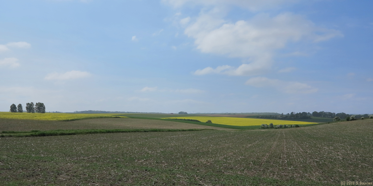 Hallencourt (Plaine)