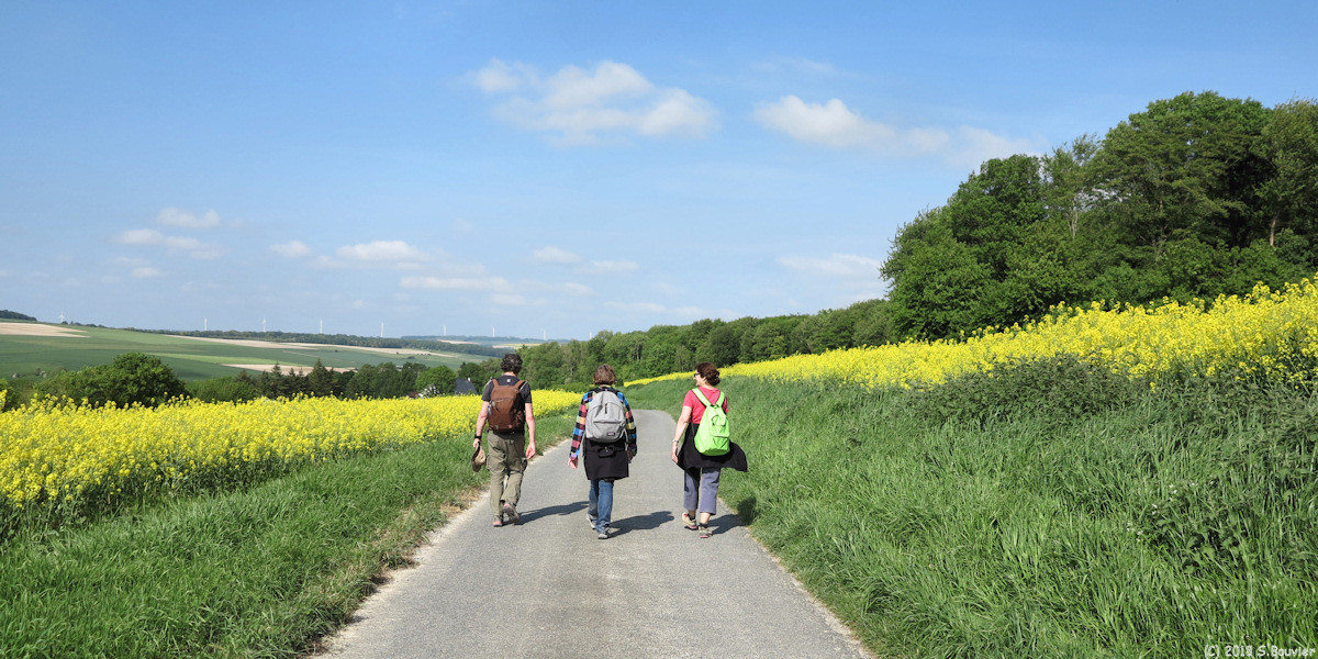 Bailleul (Route)