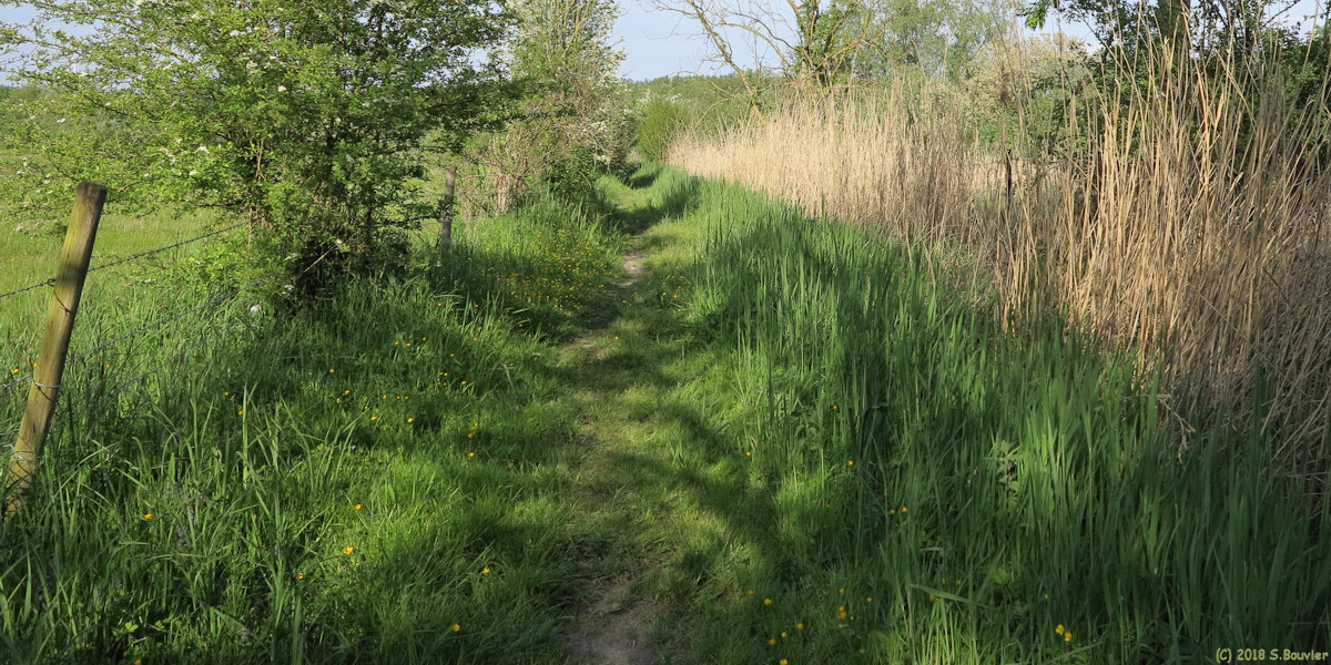 Bray les Mareuil (Sentier)