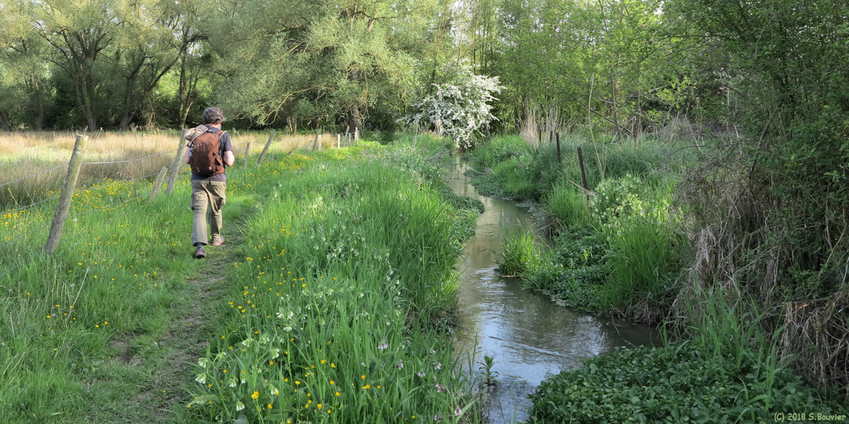Eaucourt sur Somme (Rivière de Bellifontaine 1)