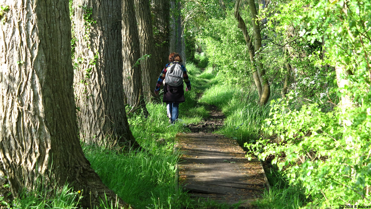 Eaucourt sur Somme (Sentier 2)
