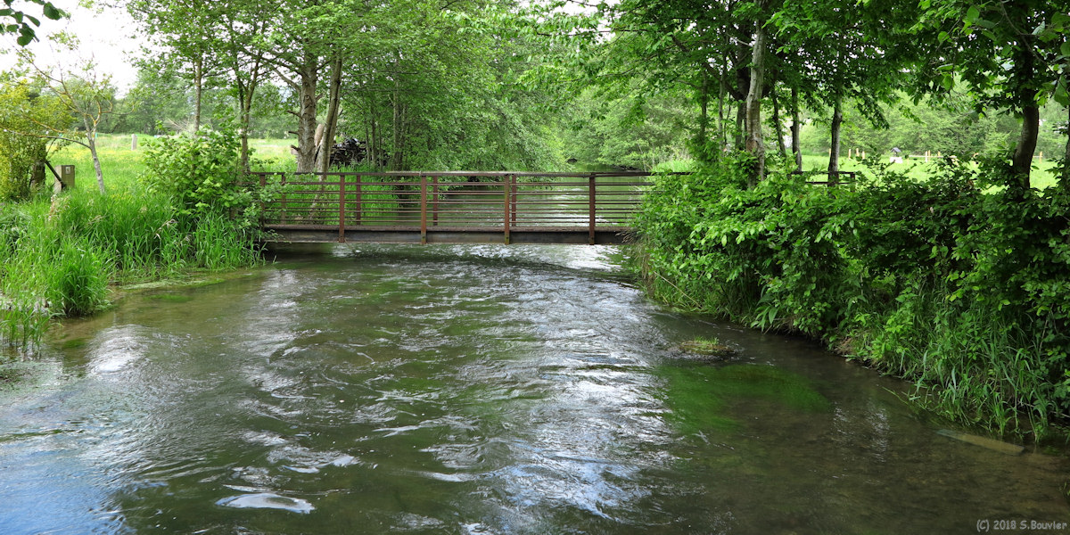 Blangy sur Bresle (Passerelle)