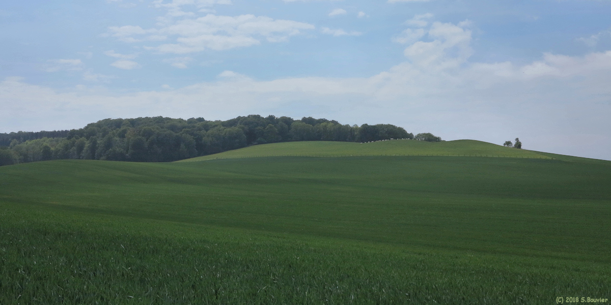 Blangy sur Bresle (Mont)