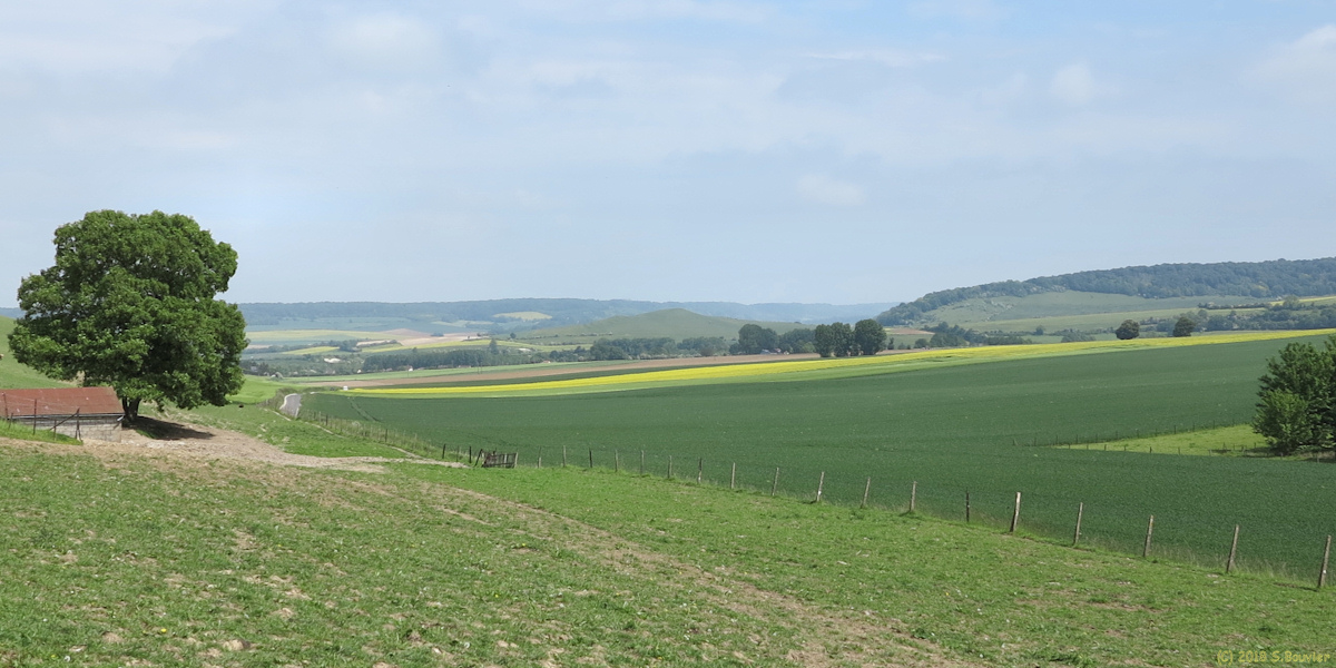 Nesle Normandeuse (Monts)