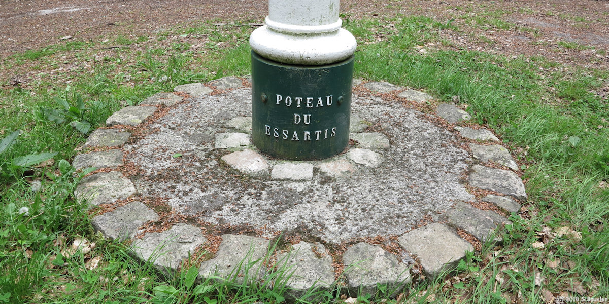 Forêt d'Eu (Essartis 1)