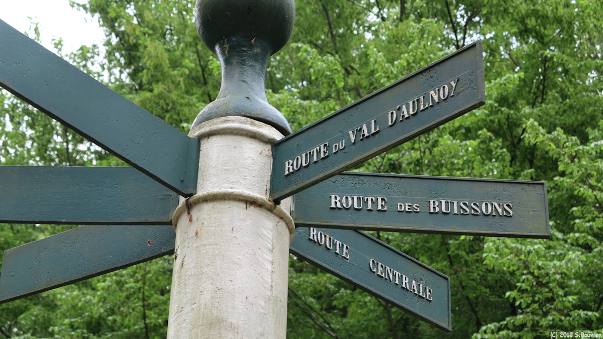 Forêt d'Eu (Essartis 2)