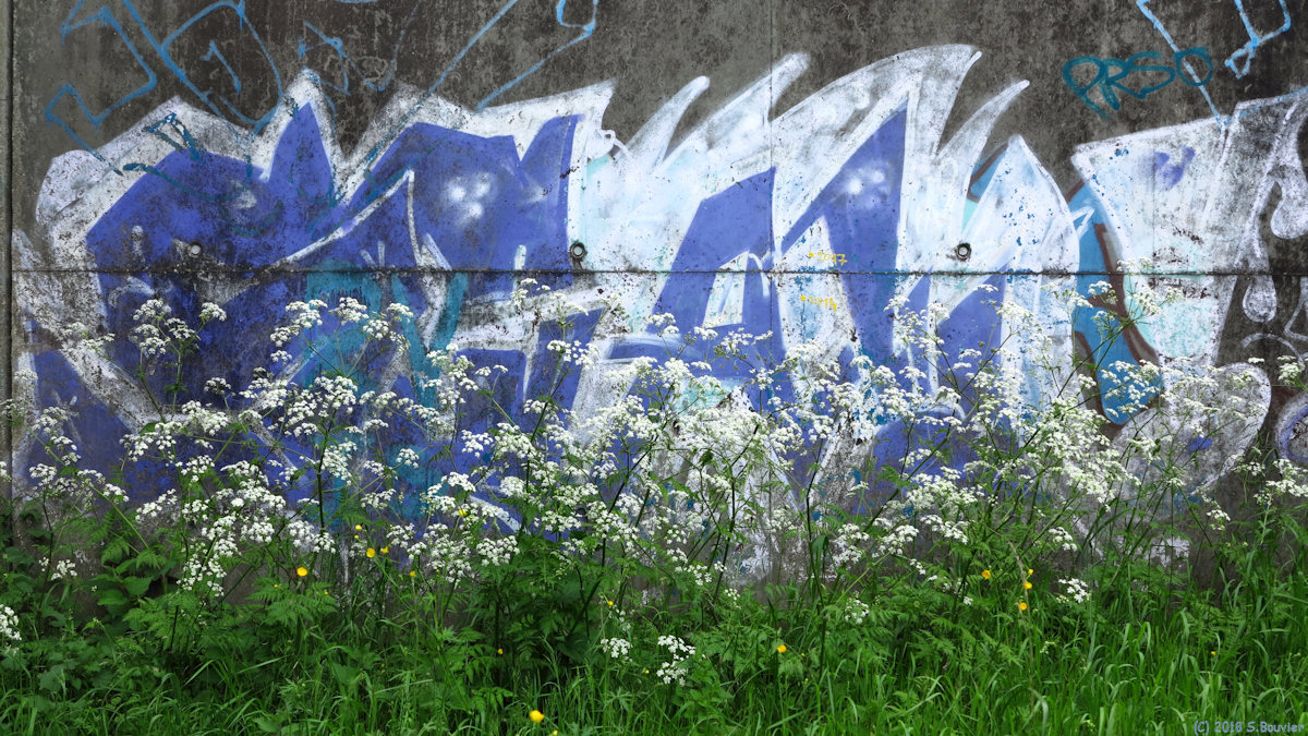 Blangy sur Bresle (Graffiti)