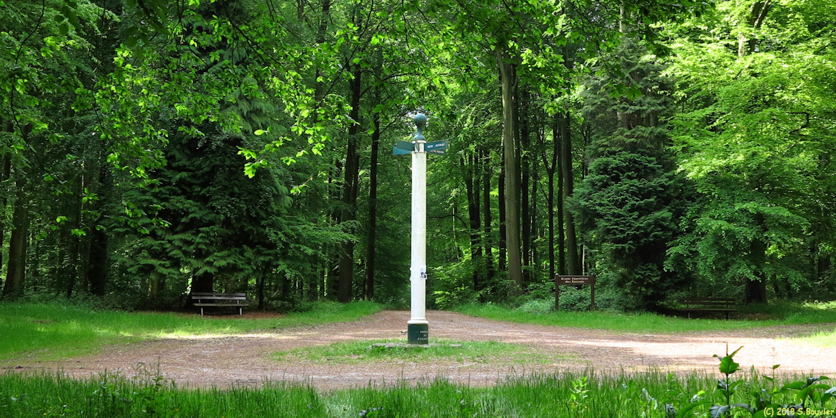 Forêt d'Eu (Essartis 1)