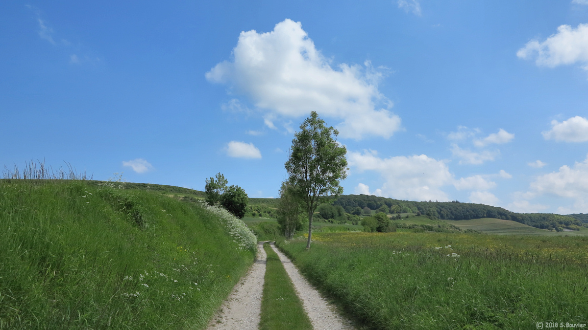 Saint Riquier en Rivière (Chemin 2)