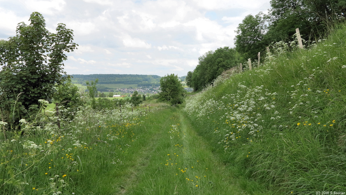 Blangy sur Bresle (Chemin 1)