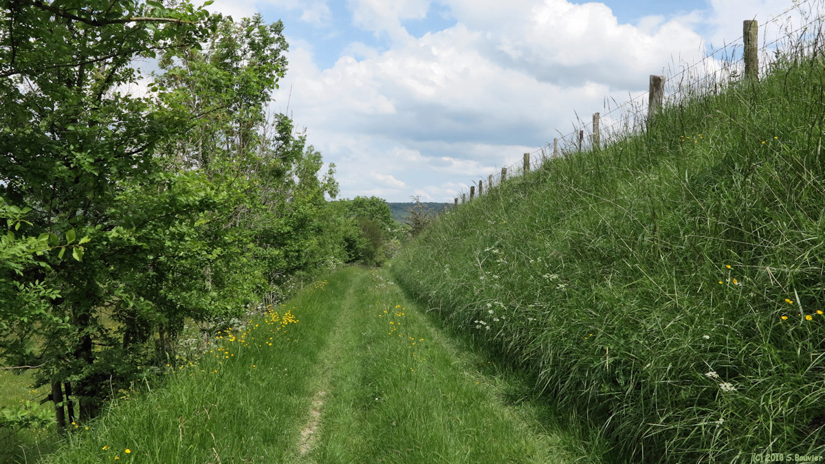 Blangy sur Bresle (Chemin 2)