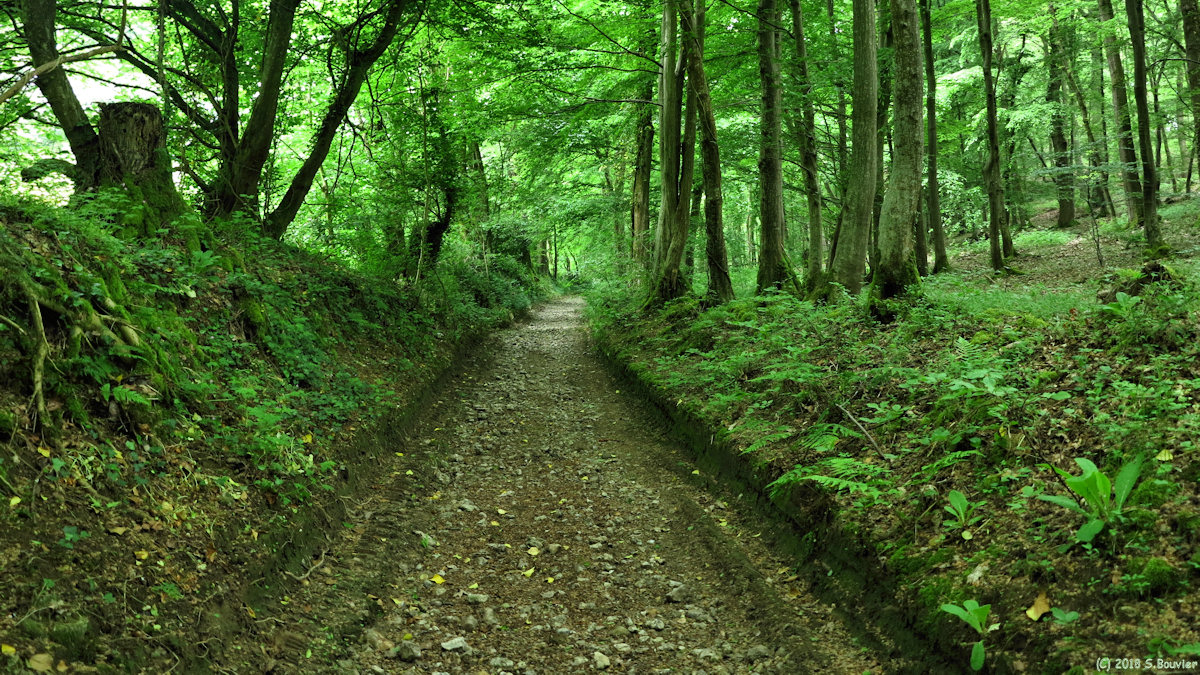 Anvéville (Chemin)