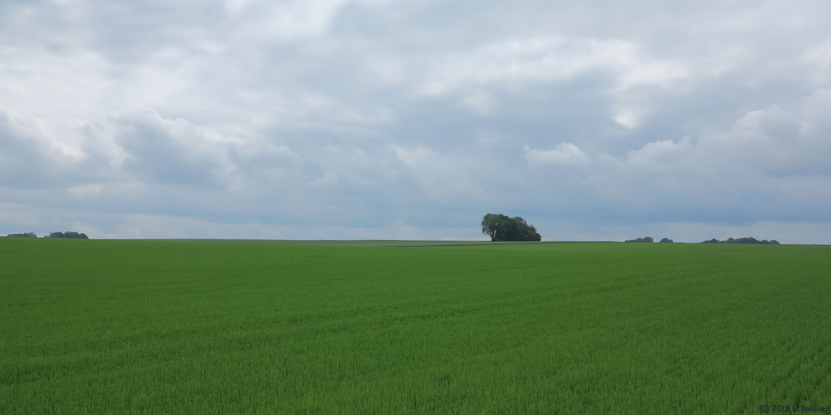 Héricourt en Caux (Plaine)