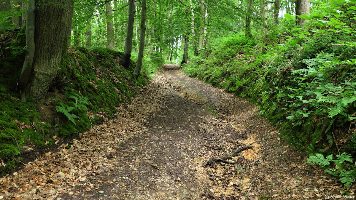 Rocquefort (Chemin 2)