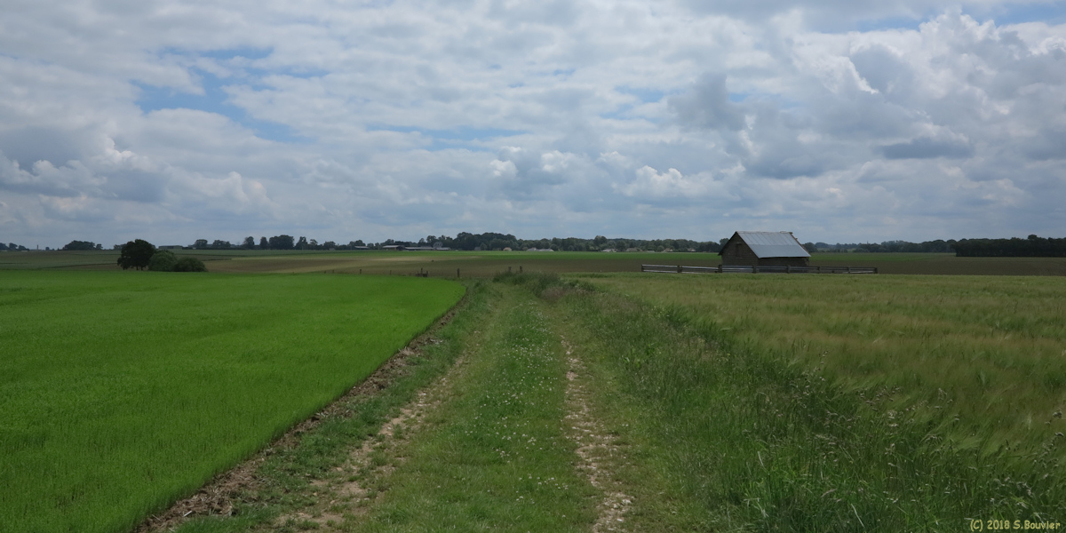 Rocquefort (Chemin 3)