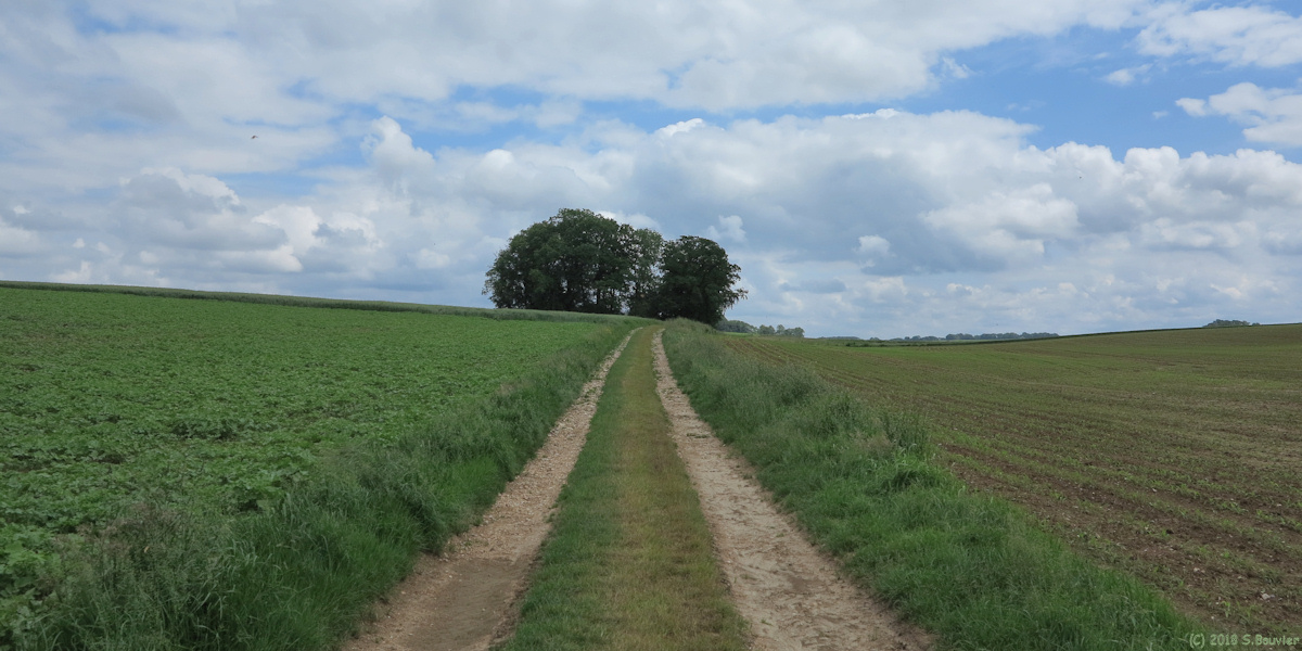 Autretot (Chemin)