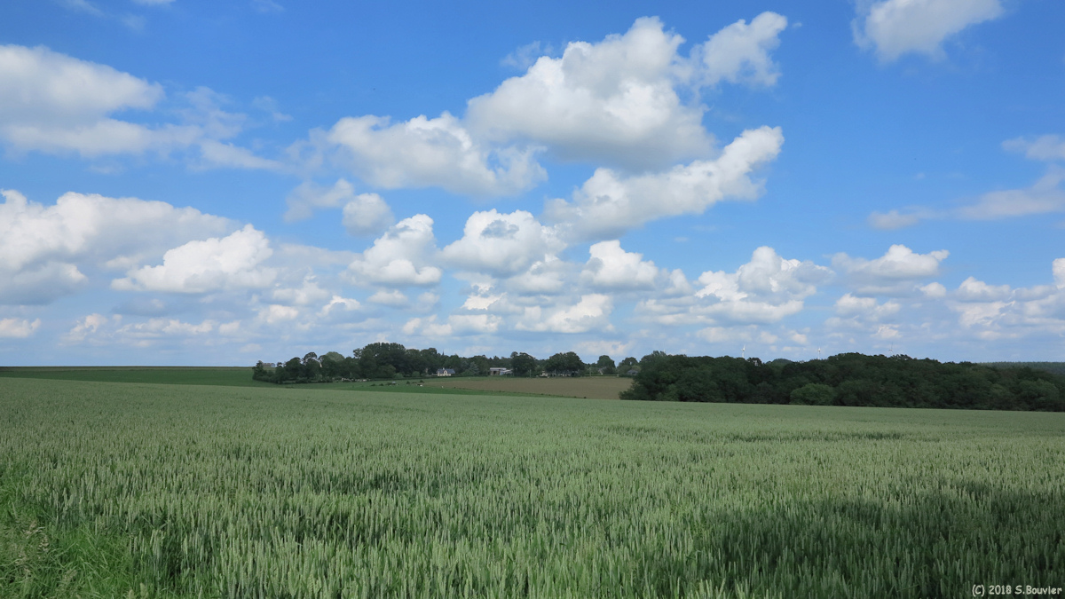 Héricourt en Caux (vers Anvéville)