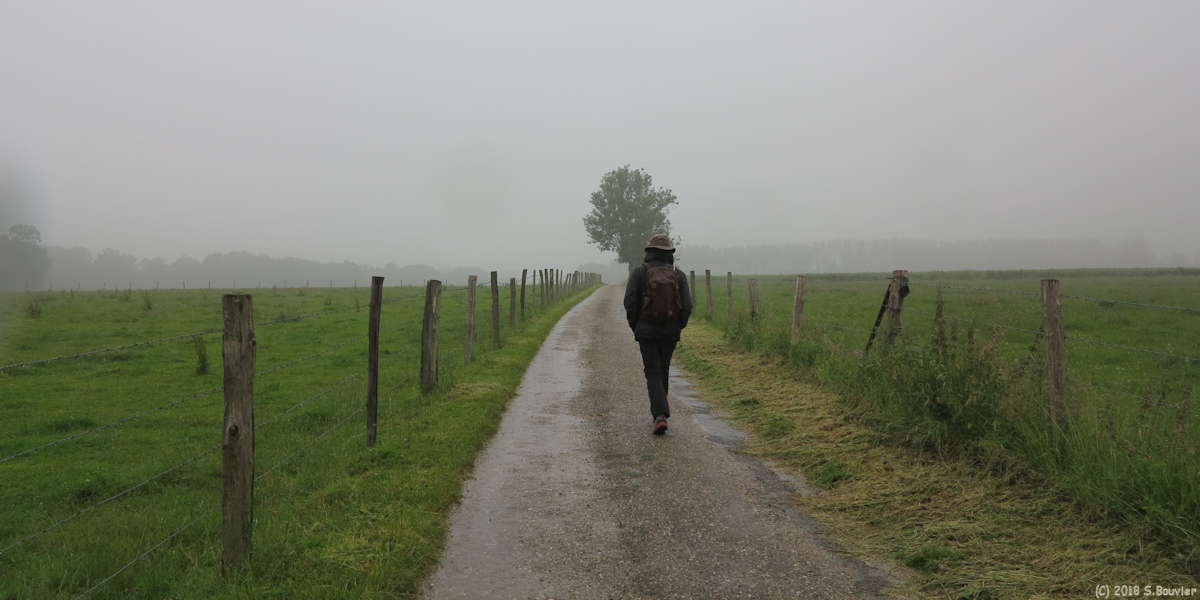 Héricourt en Caux (Route)