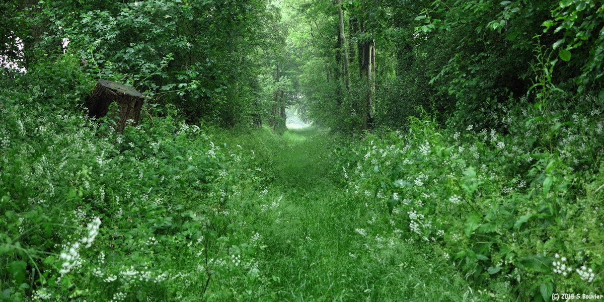 Thiouville (Chemin 1)
