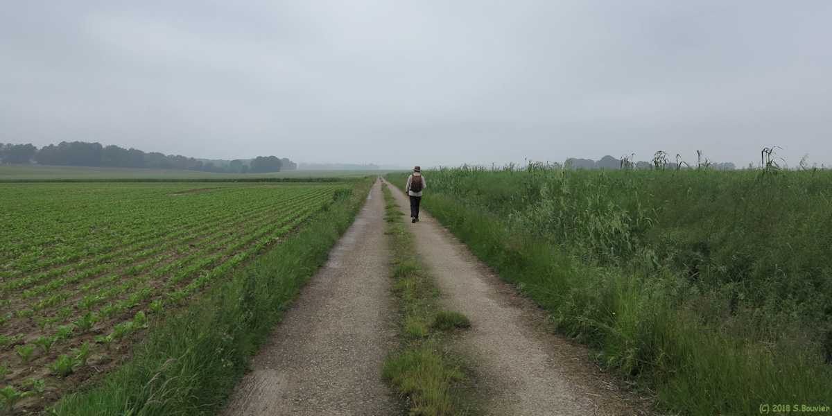 Envronville (Chemin 1)