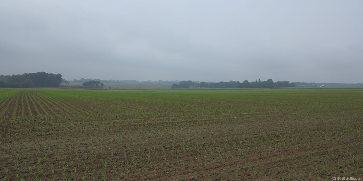 Cliponville (Plaine)