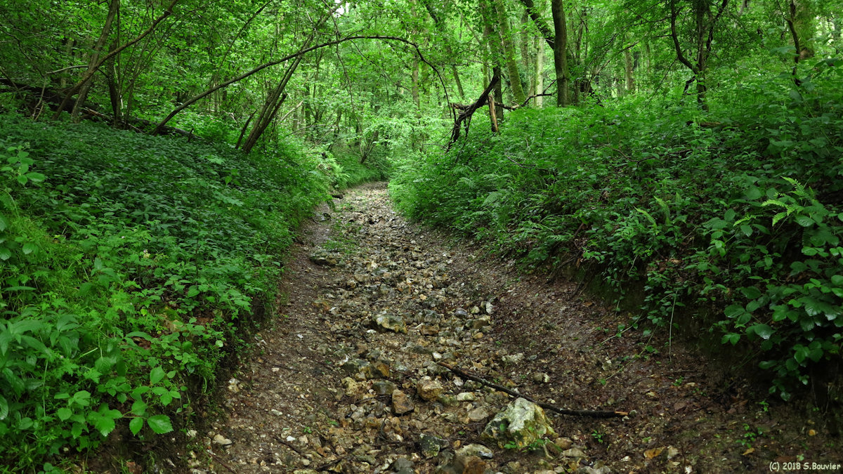 Rocquefort (Chemin 1)