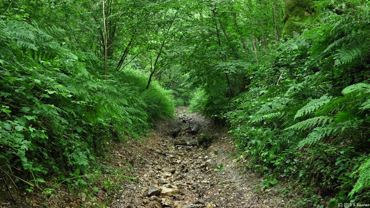 Rocquefort (Chemin 2)