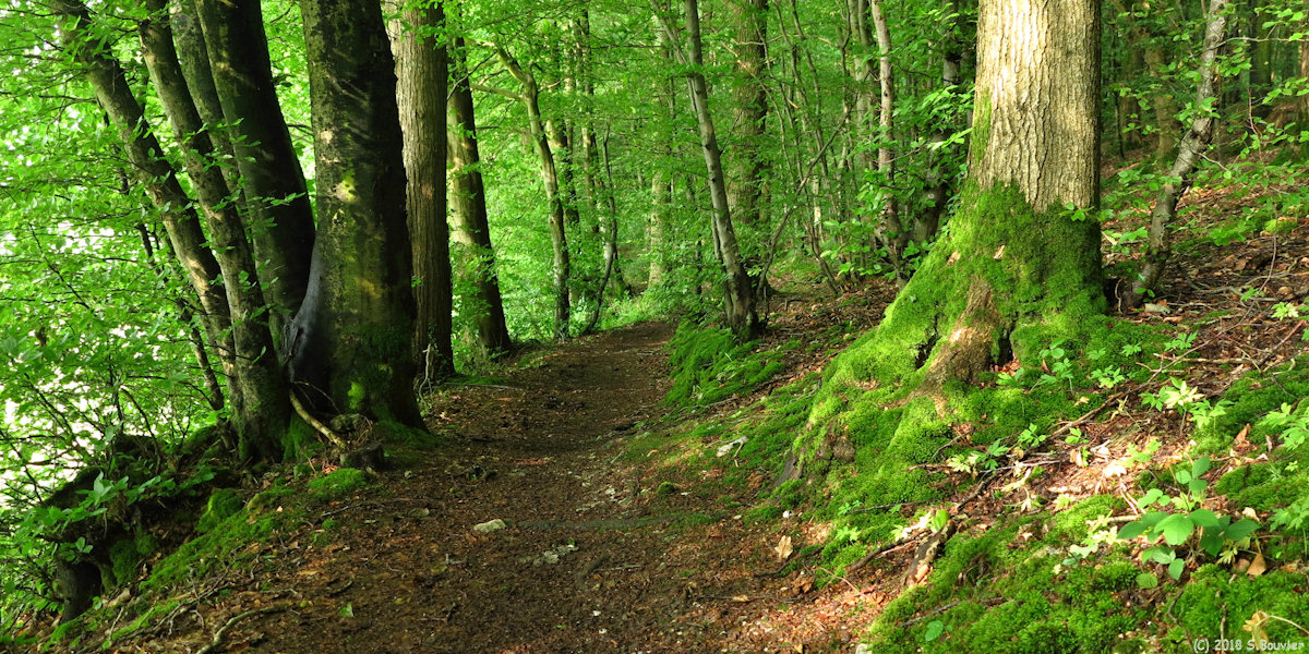 Héricourt en Caux (Chemin 4)