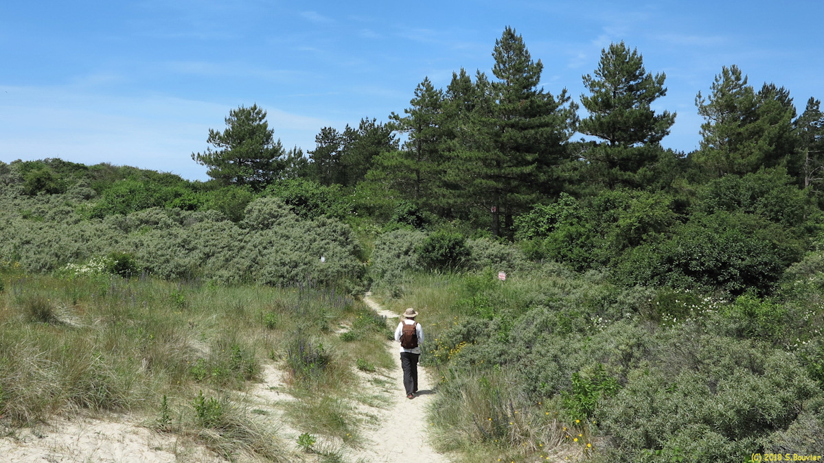 Le Crotoy (Sentier 1)