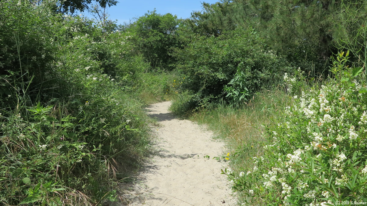 Le Crotoy (Sentier 2)