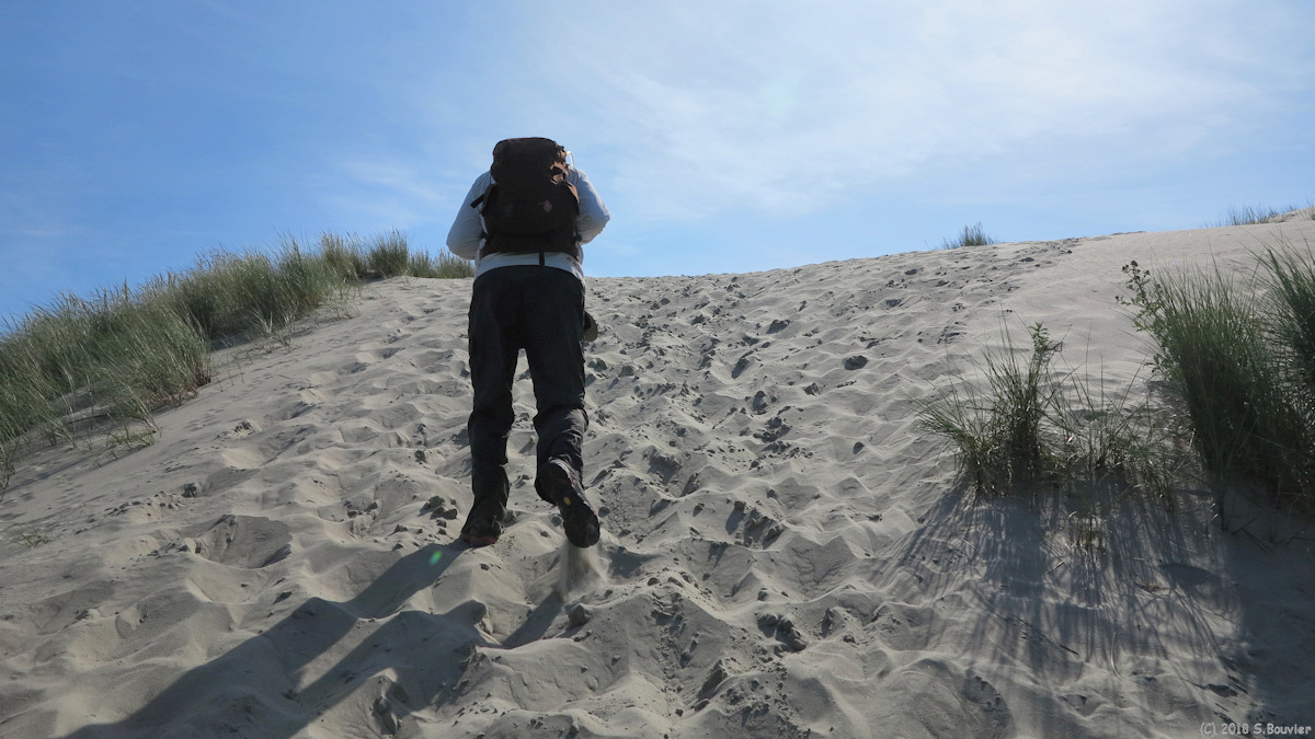 Saint Quentin en Tourmont (Dune 2)