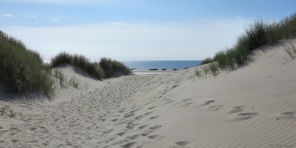 Saint Quentin en Tourmont (Dune 3)