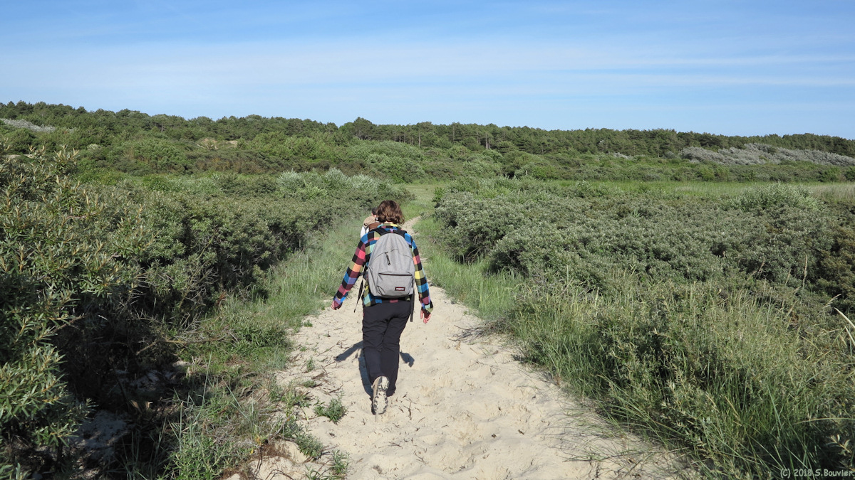 Saint Quentin en Tourmont (Sentier 2)