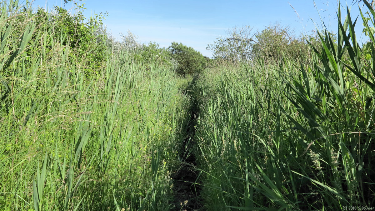 Saint Quentin en Tourmont (Sentier 4)