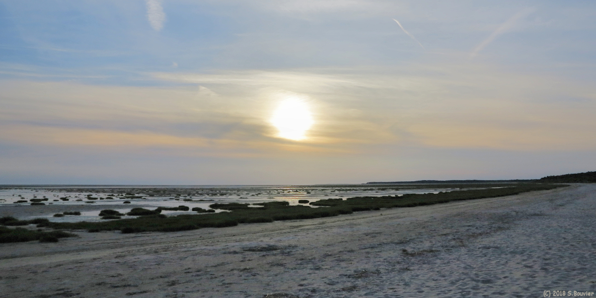 Le Crotoy (Soleil)