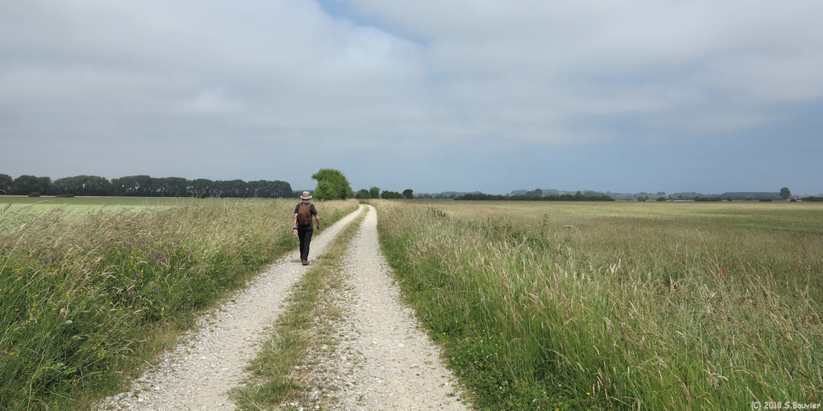Quend (Chemin)